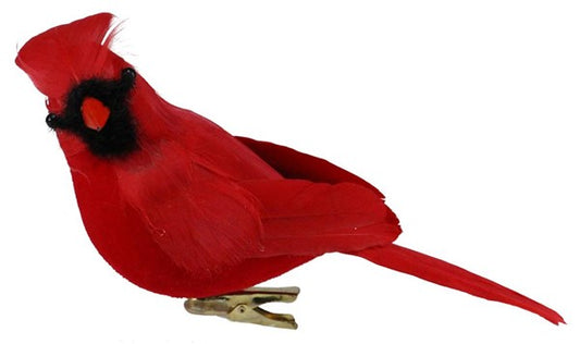 Feathered Cardinal w/ Clip