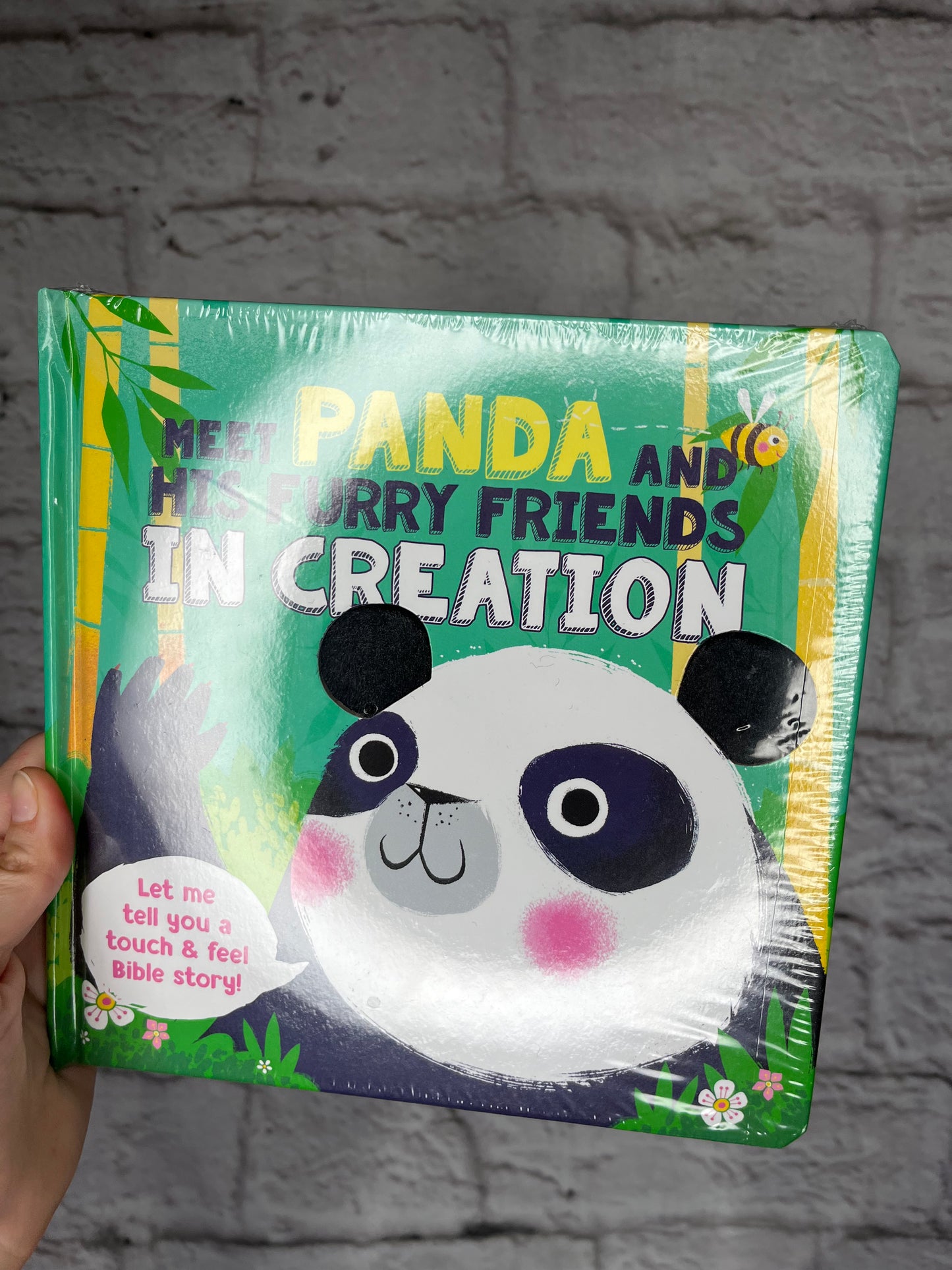 Meet Panda in Creation Children's Book