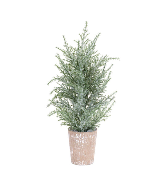 Potted Icy Pine Trees